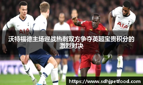 沃特福德主场迎战热刺双方争夺英超宝贵积分的激烈对决